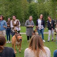 Groupe de propriétaires et chiens pendant un cours collectif à Lyon